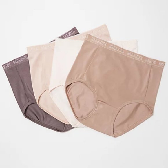 Breezies Set of 4 Nylon Microfiber Brief Panty  1900 - Picture 1 of 4
